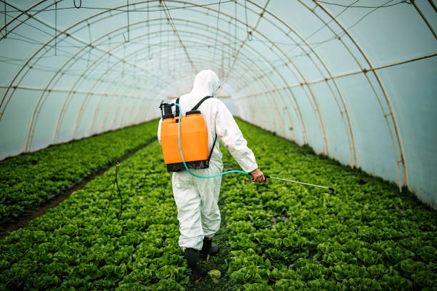 Best Local Pest Control Services  in Florham Park, NJ