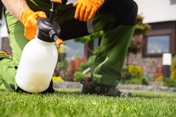 Best Flea Control Services  in Florham Park, NJ