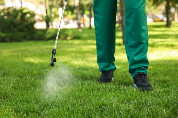 Best Rodent Control Near Me  in Florham Park, NJ