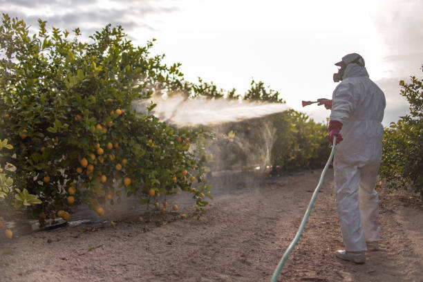 Best Local Pest Control Services  in Florham Park, NJ