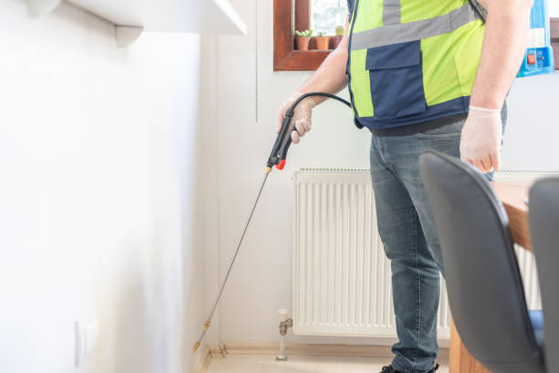 Wasp Removal Services in Florham Park, NJ