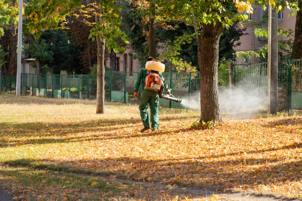Best Affordable Pest Control Services  in Florham Park, NJ
