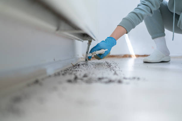 Best Wasp Removal Services  in Florham Park, NJ